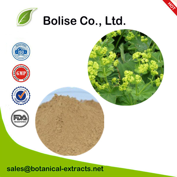 Alchemilla Extract