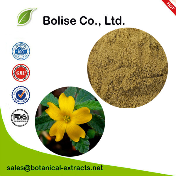 Damiana Extract