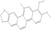 Chelerythrine