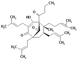 Hyperforin