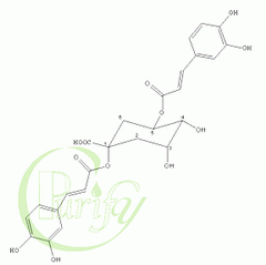 1 5-Dicaffeoylquinic acid