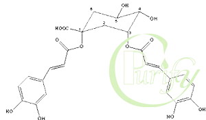 Isochlorogenic acid A(3 5-Dicaffeoylquinic acid)