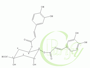 Isochlorogenic acid C(4 5-Dicaffeoylquinic acid)