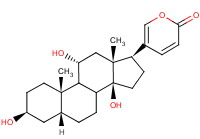 Gamabufotalin