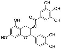 Catechin gallate