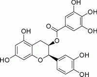 Epicatechin gallate  (ECG)