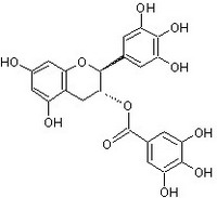 Gallocatechin gallate (GCG)