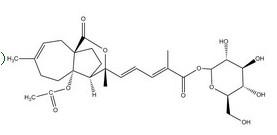 Pseudolaric acid A-O-β-D-glucopyranoside(PAAG)