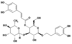 Acteoside