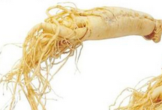 American White Ginseng Extract