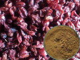 Asiatic Cornelian Cherry Fruit Extract