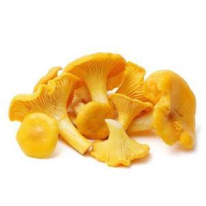 Cantharellus Cibarius Extract