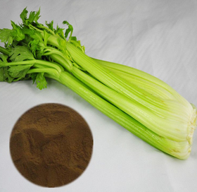 Celery stalk extract