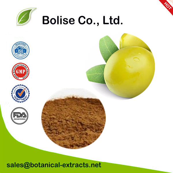 Chinese white olive Extract