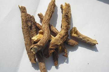 Cortex Periplocae Extract