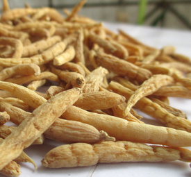 Heterophylly Falsestarwort Root Extract