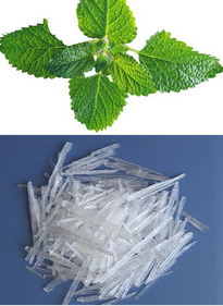 Menthol Crystal Extract