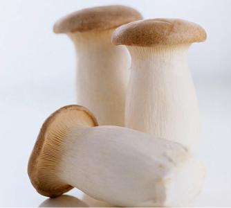 Pleurotus Eryngii Extract