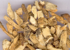 Polygonatum odoratum (Mill)Druce Extract
