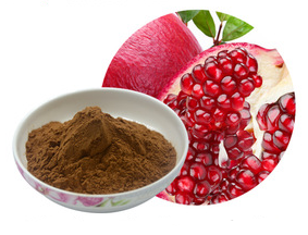 Pomegranate Extract