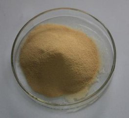 Primula Root Extract