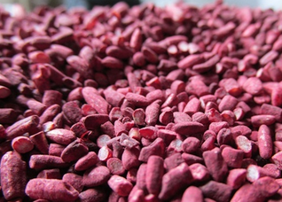 Red Yeast Rice Extract