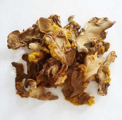 Rhizoma Cibotii Extract