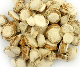 Rhizoma Kaempferiae Extract