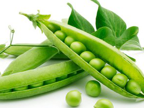 Sword Bean Extract