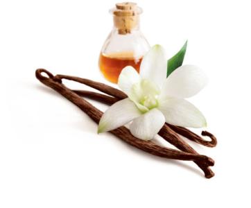 Vanilla Bean Extract